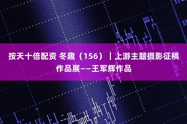 按天十倍配资 冬趣（156）｜上游主题摄影征稿作品展——王军辉作品