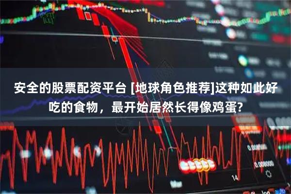 安全的股票配资平台 [地球角色推荐]这种如此好吃的食物，最开始居然长得像鸡蛋?