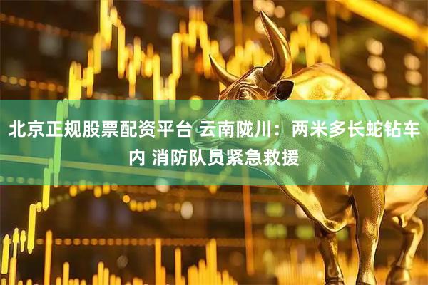 北京正规股票配资平台 云南陇川：两米多长蛇钻车内 消防队员紧急救援