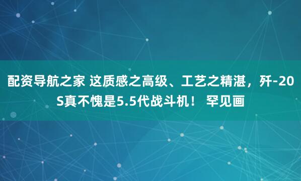 配资导航之家 这质感之高级、工艺之精湛，歼-20S真不愧是5.5代战斗机！ 罕见画