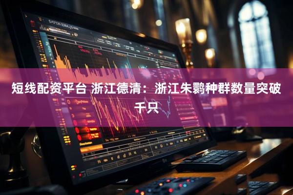 短线配资平台 浙江德清：浙江朱鹮种群数量突破千只