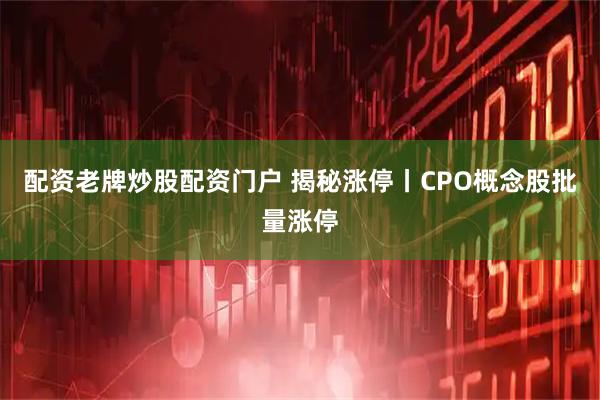 配资老牌炒股配资门户 揭秘涨停丨CPO概念股批量涨停