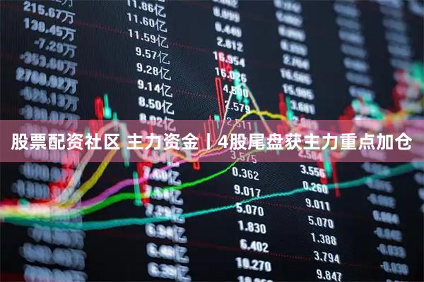 股票配资社区 主力资金丨4股尾盘获主力重点加仓